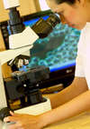 Six Senses Destination Spa Phuket 